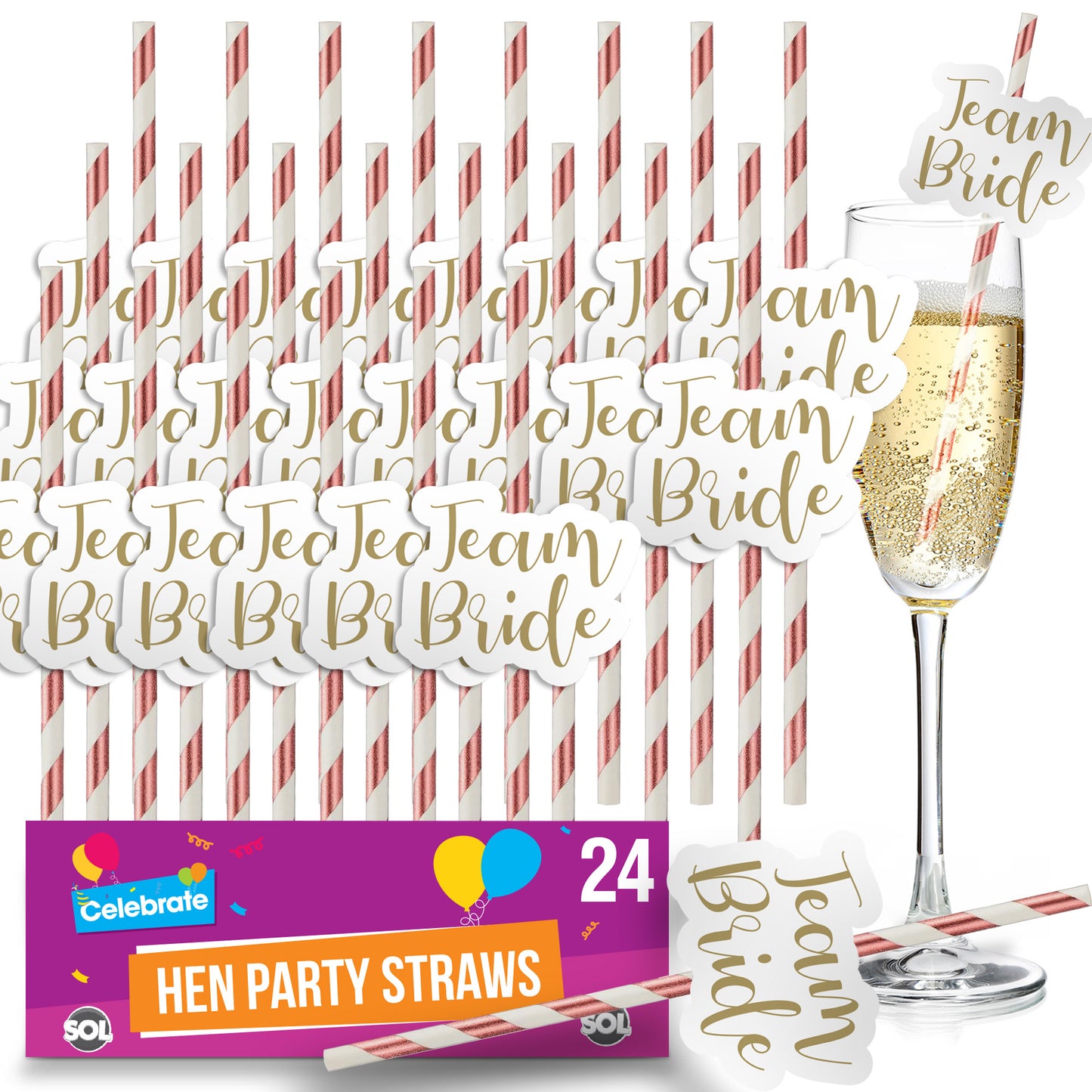 24pk Team Bride Hen Party Straws | Rose Gold Paper Drinking Night Do Accessories