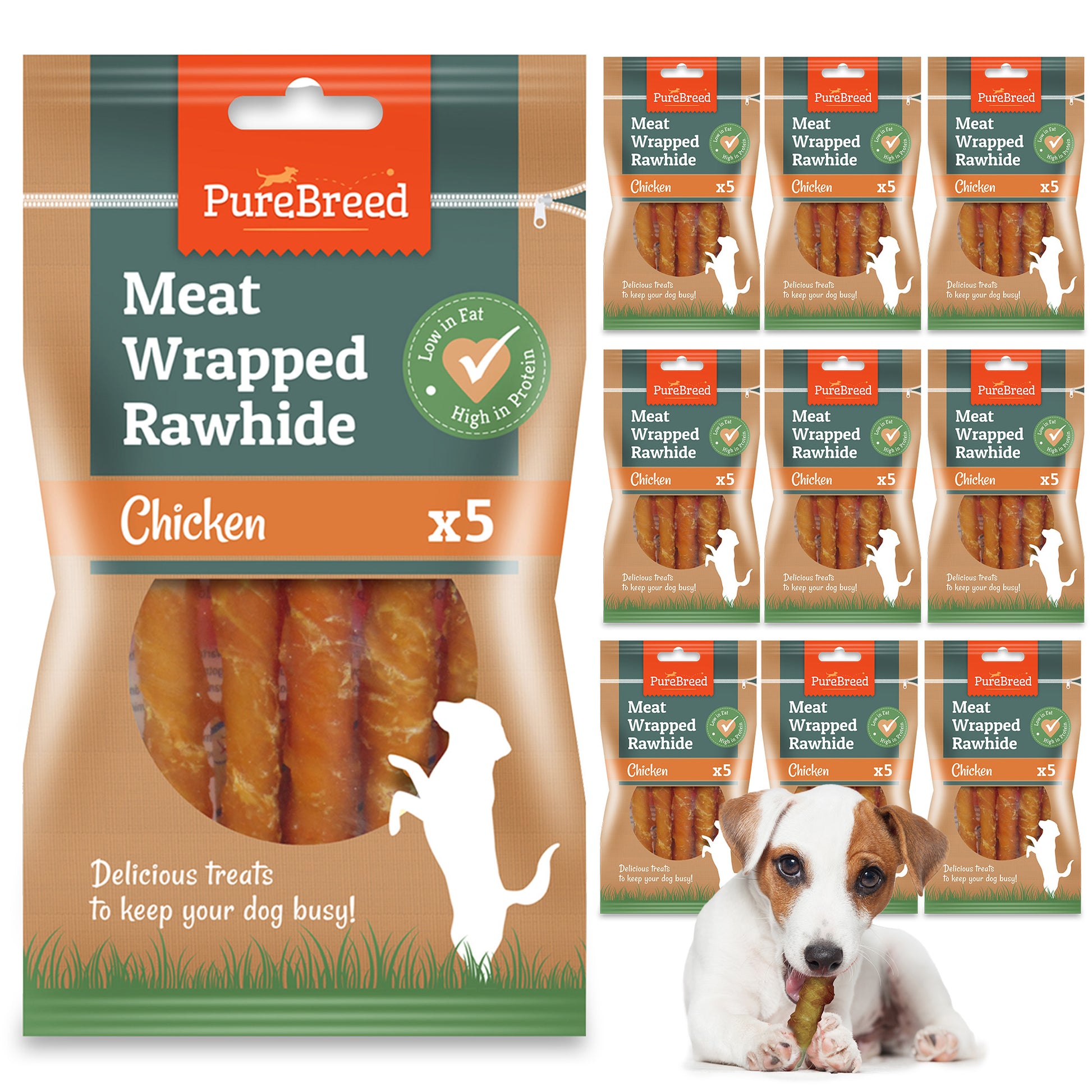 50-pack of rawhide dog chew sticks wrapped in real chicken meat – perfect for bulk pet treats that support dental health and satisfy natural chewing instincts