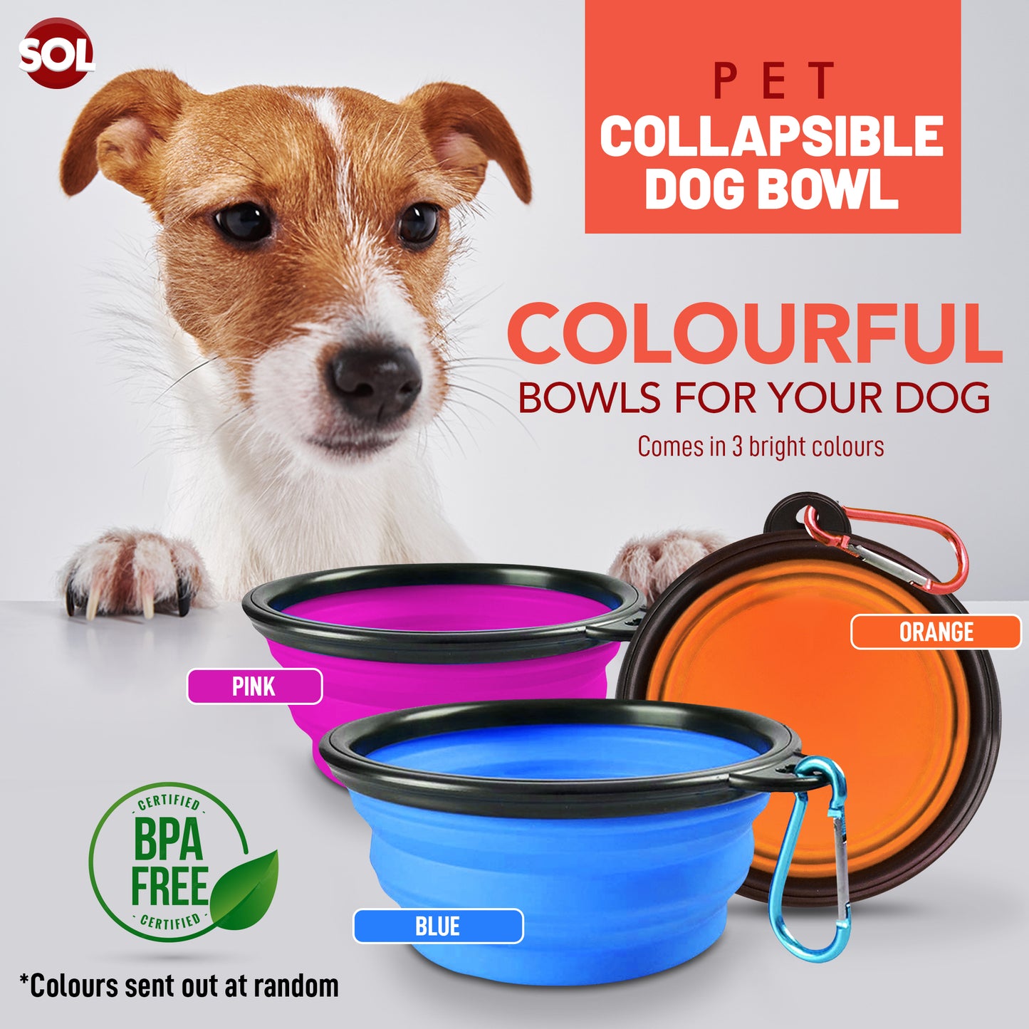 Collapsible Dog Bowls Silicone Travel Pet Dish – 2 Pack