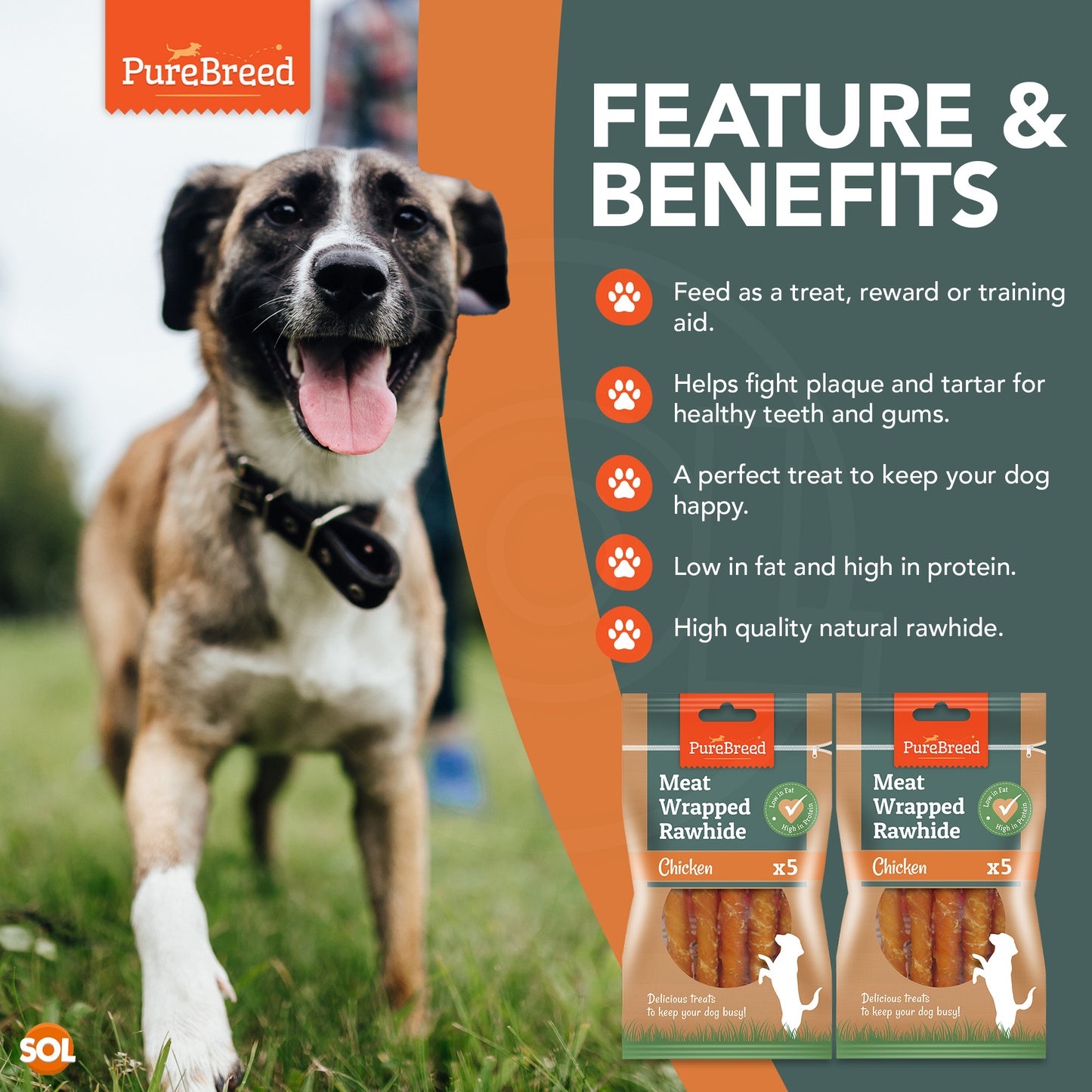 Dog Chews Rawhide Chicken Snack| Healthy Treats | 10 Pack