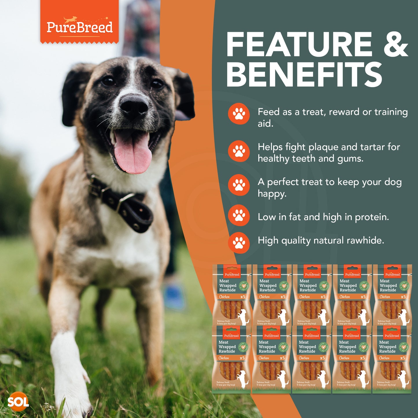 Dog Chews Rawhide Twists Wrapped in Chicken Healthy Treats | 50 Pack