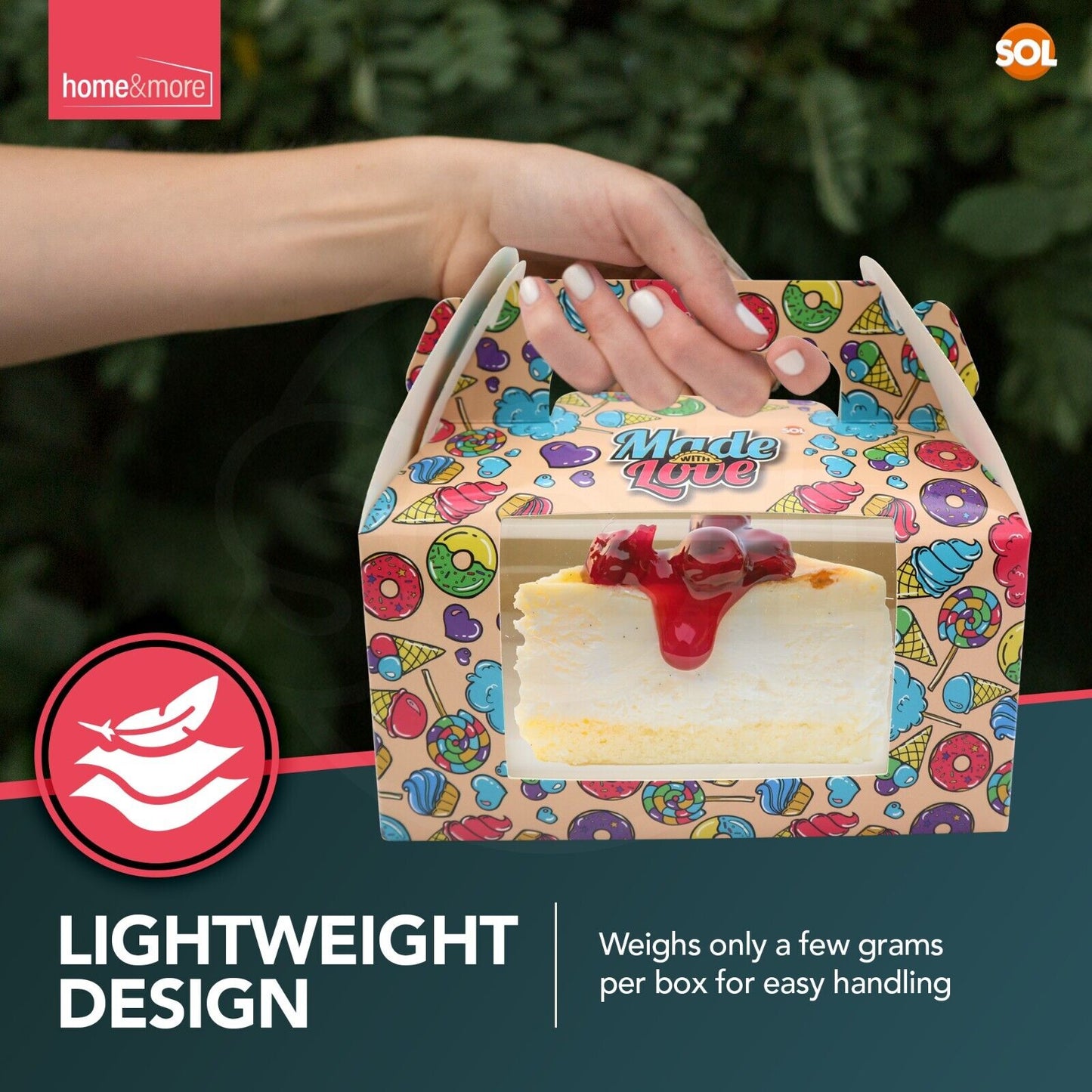 Large Cake Boxes with Window & Handle | Paper Box Slices | 2 Pack