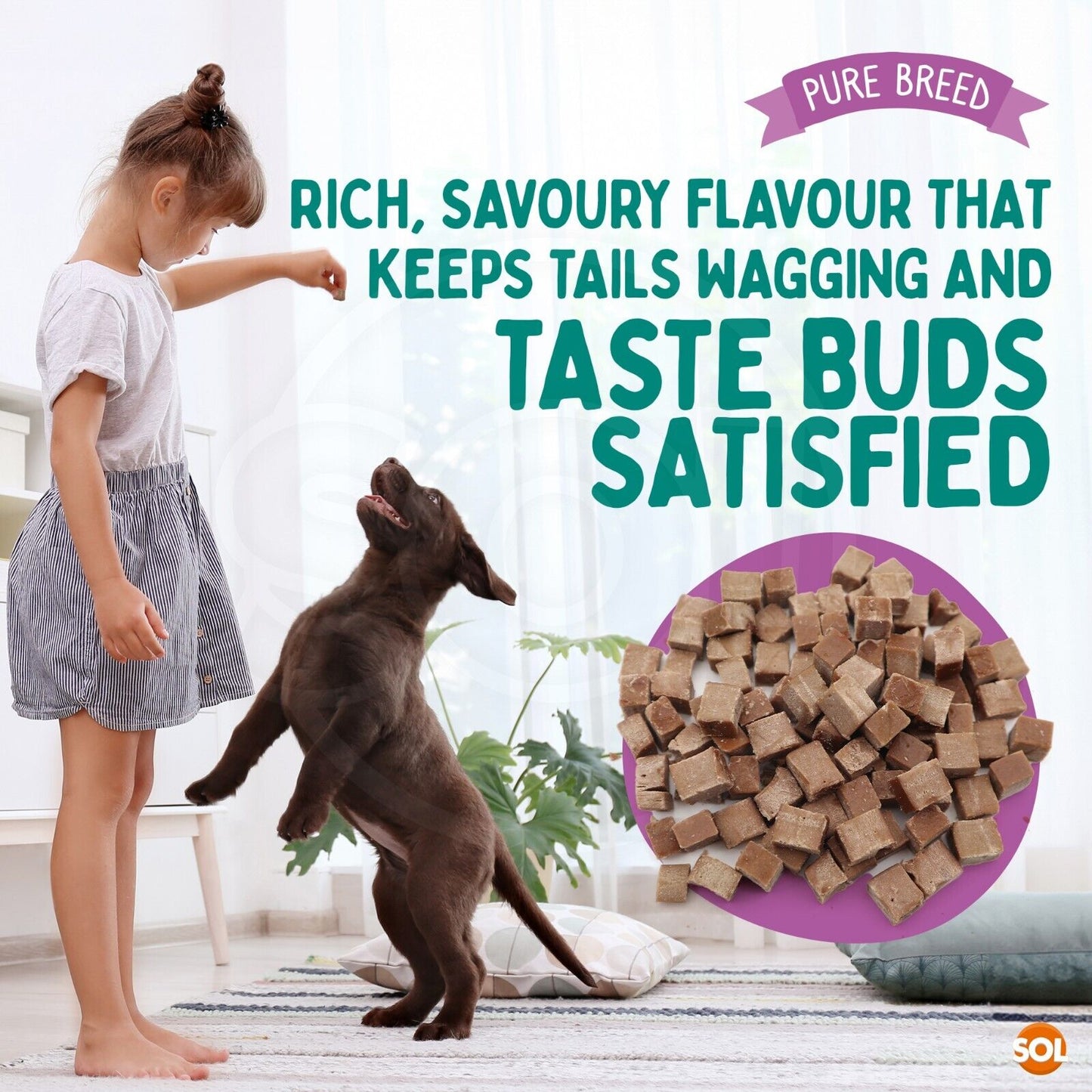 Chicken Bites Dog Training Treats Duck & Beef | 100g