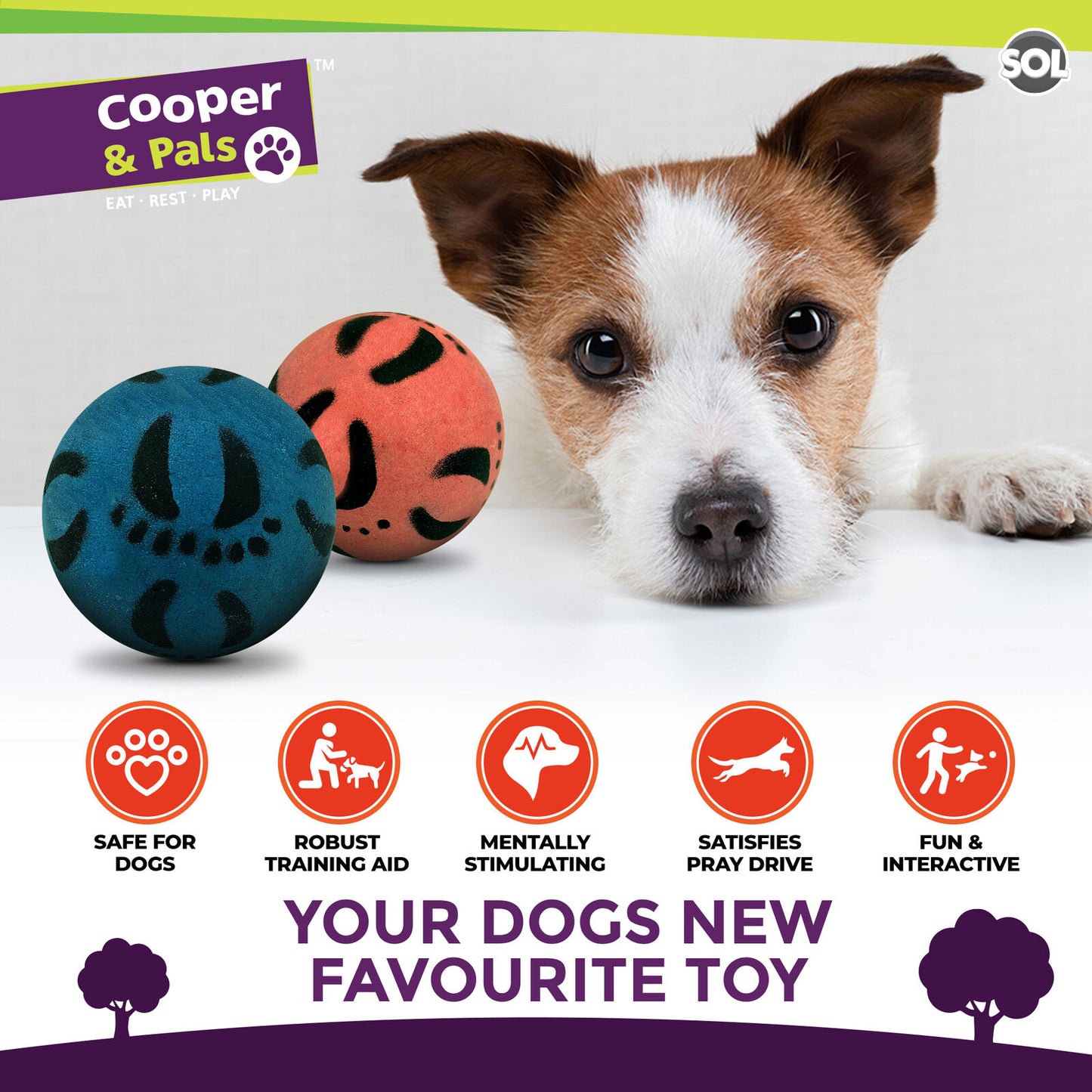 Rubber Dog Balls | Bouncy Solid Hard Fetch Chew Toys | 4 Pack