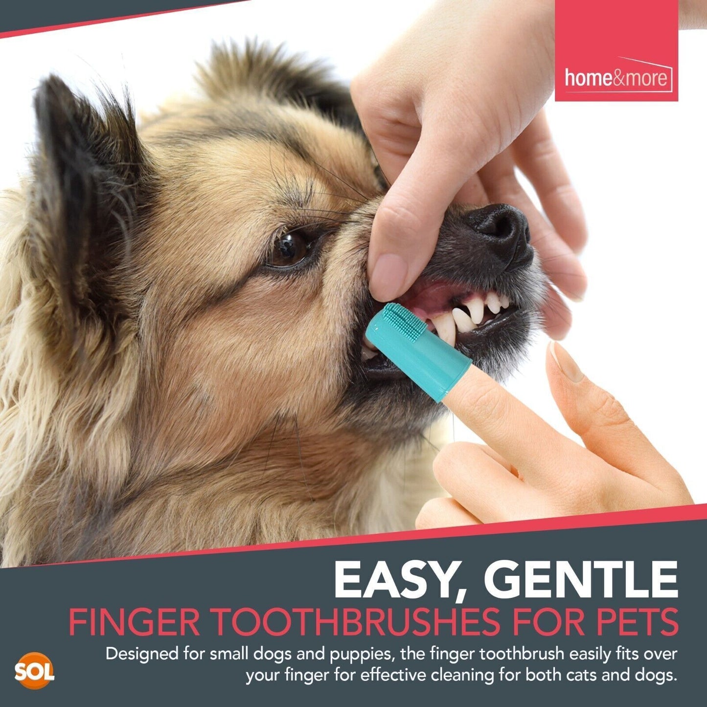 Dog Toothbrush Set | 2 Finger + 2 Double Ended Brushes | Pack of 2