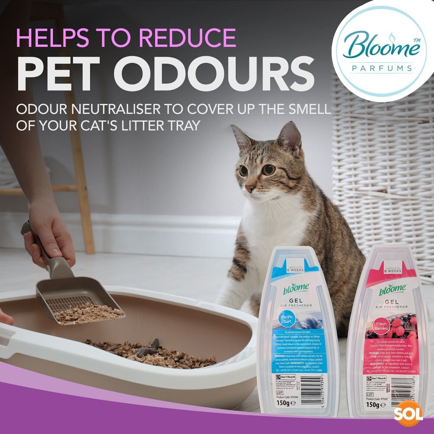 Solid Gel Air Freshener 150g | Bathroom Home Room Scent | 12 Pack