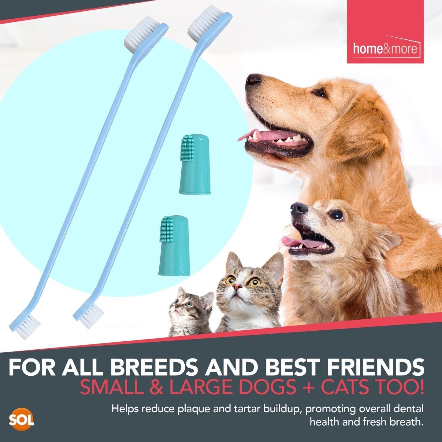 Dog Toothbrush Set | 2 Finger + 2 Double Ended Brushes | Pack of 2