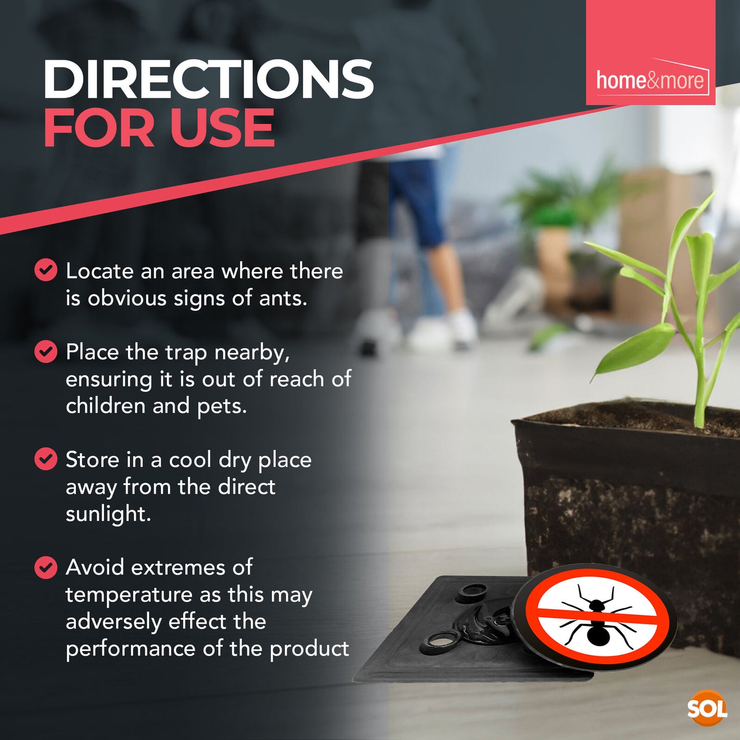 3pk-6pk Ant Trap Bait Stop Ants Killer Nest Station Insect Glue Outdoor Indoor