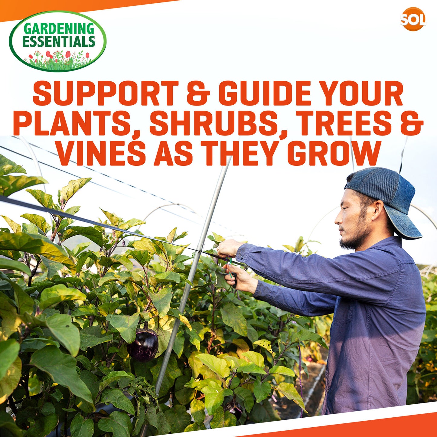 Green Garden Twist Ties | Flexible Plant Wire Support | 200 Pack