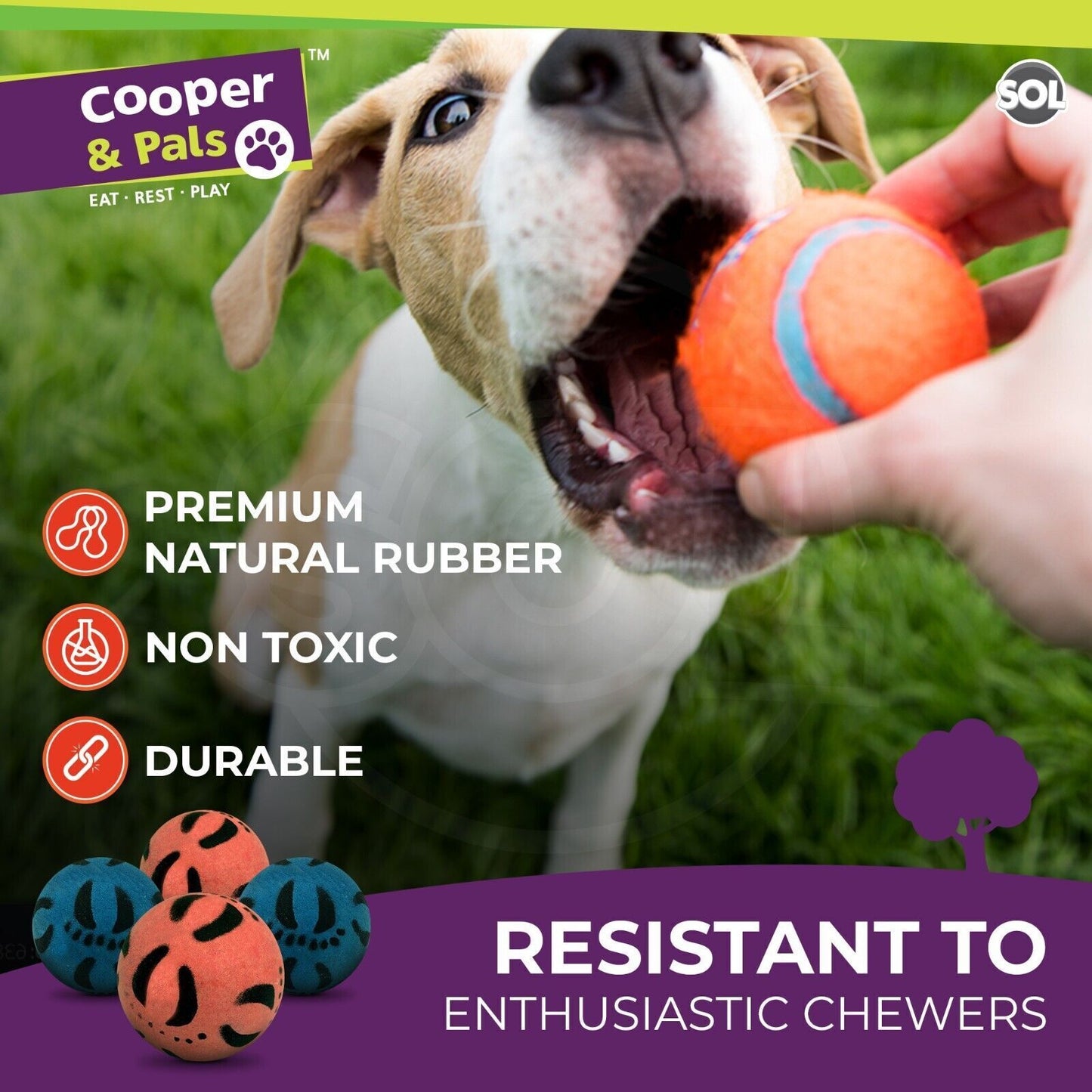 Rubber Dog Balls | Solid Hard Play Fetch Toys | 6 Pack