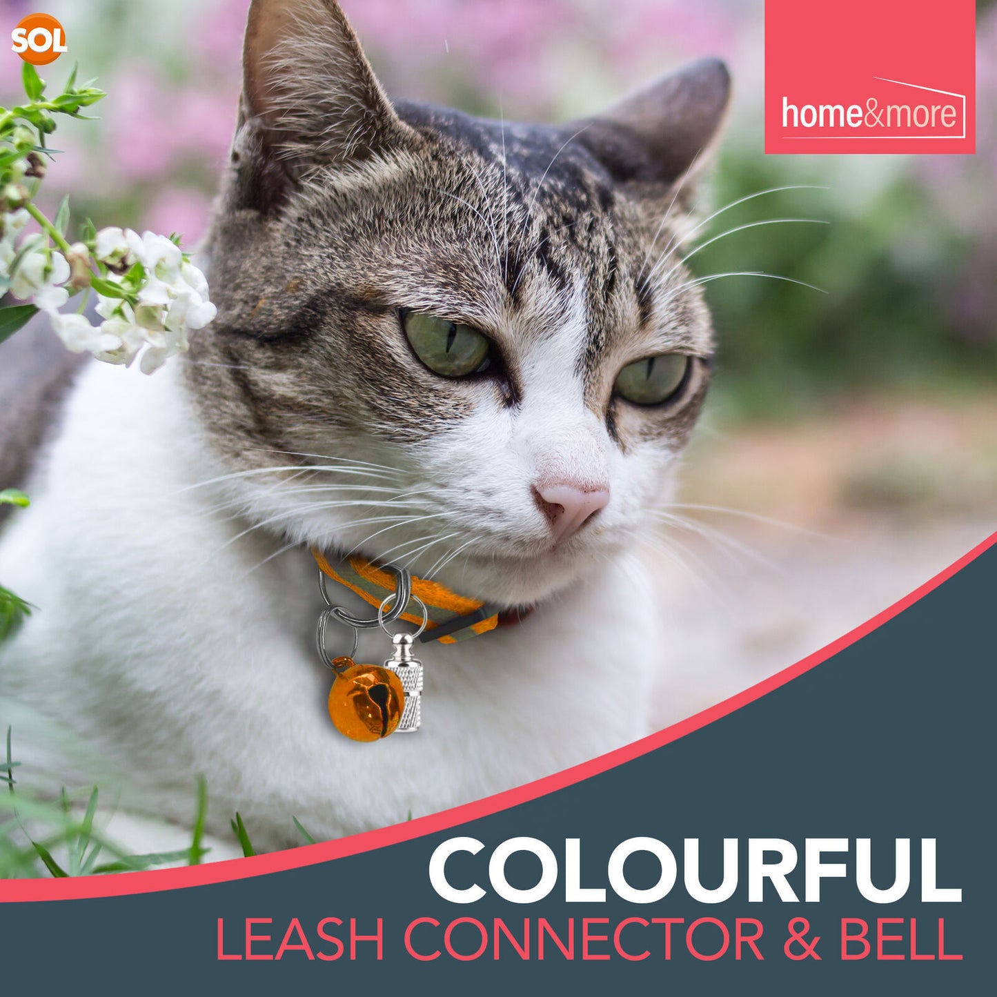 Reflective Cat Collar with Safety Release | ID Tag Bell | Quick Adjustable 6 Pack