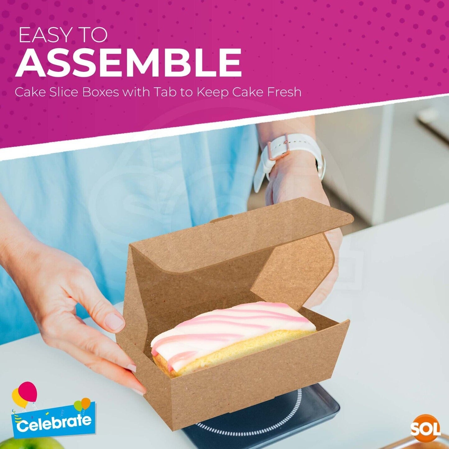 Brown Kraft Single Cake Slice Boxes | 20 Pack