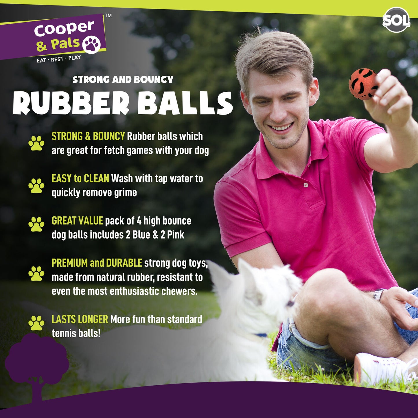 Rubber Dog Balls | Bouncy Solid Hard Fetch Chew Toys | 4 Pack