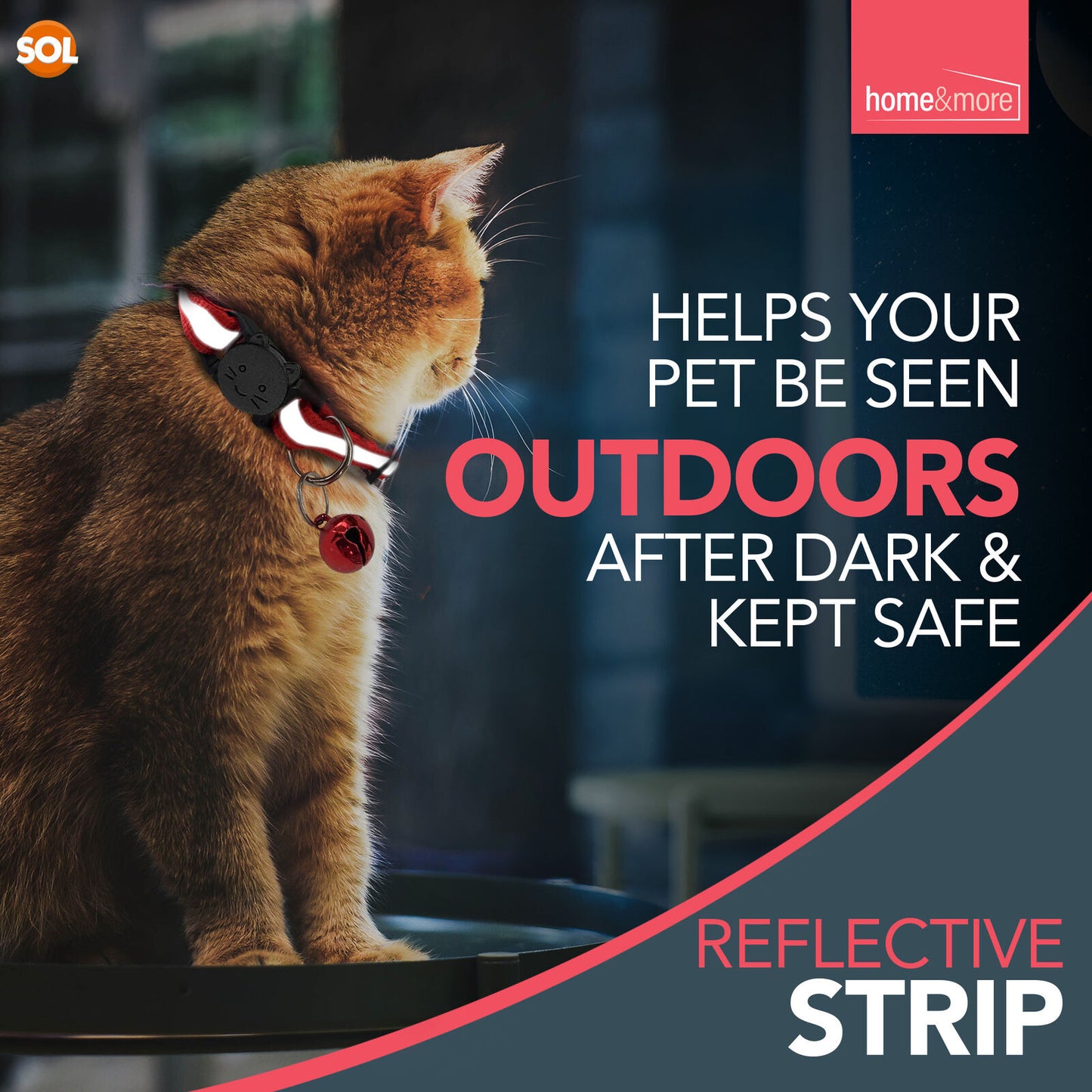 Reflective Cat Collar with Safety Release | ID Tag Bell | Quick Adjustable 6 Pack