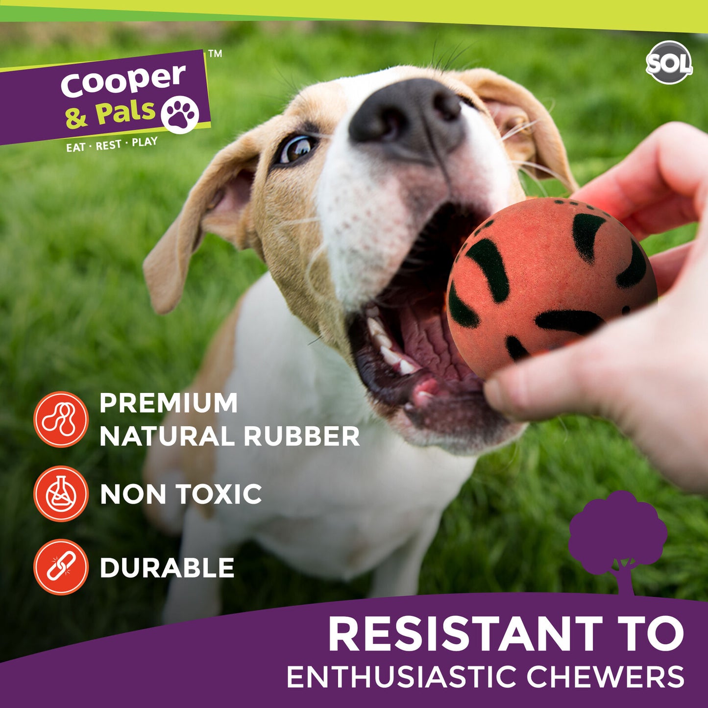 Rubber Dog Balls | Bouncy Solid Hard Fetch Chew Toys | 4 Pack