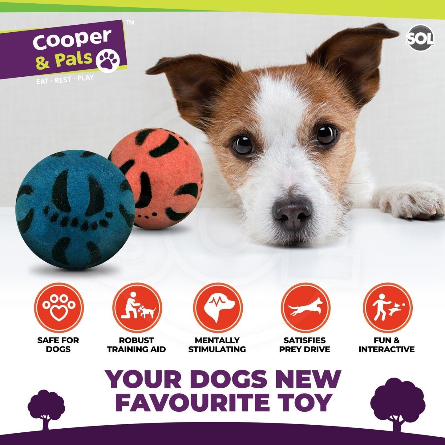 Rubber Dog Balls | Solid Hard Play Fetch Toys | 6 Pack