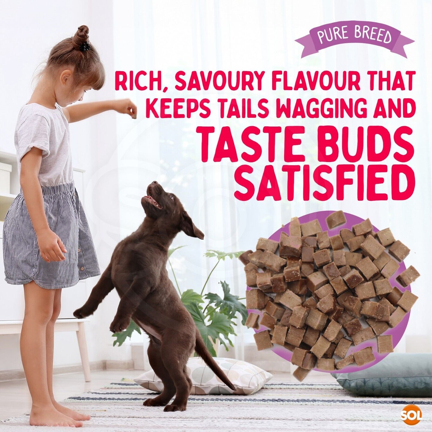 Chicken Bites Dog Training Treats Duck & Beef | 100g