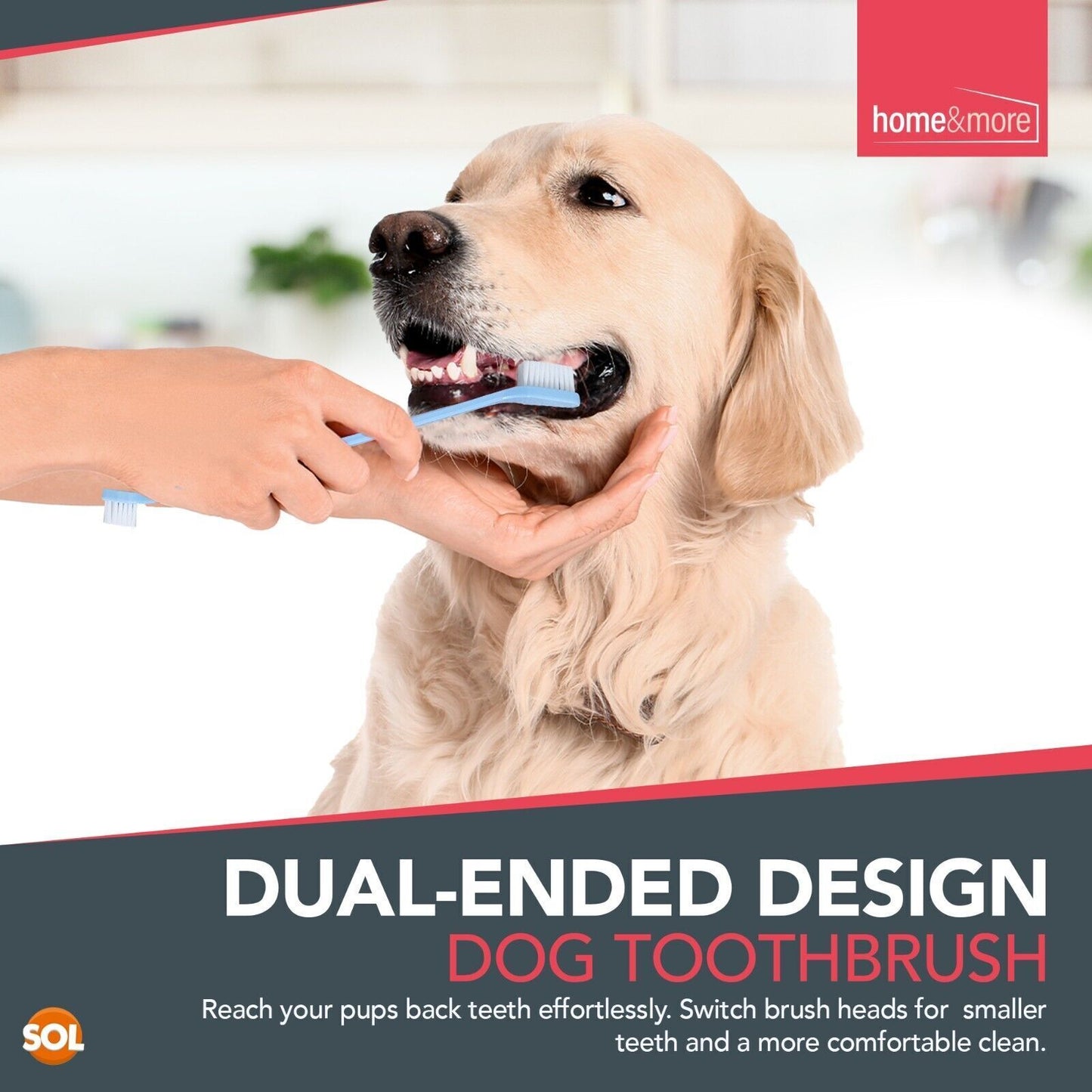 Dog Toothbrush Set | 2 Finger + 2 Double Ended Brushes | Pack of 2