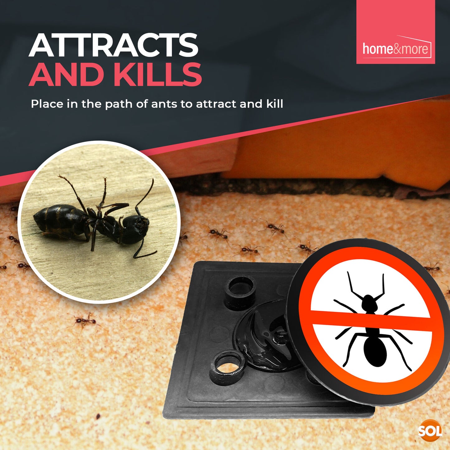 3pk-6pk Ant Trap Bait Stop Ants Killer Nest Station Insect Glue Outdoor Indoor