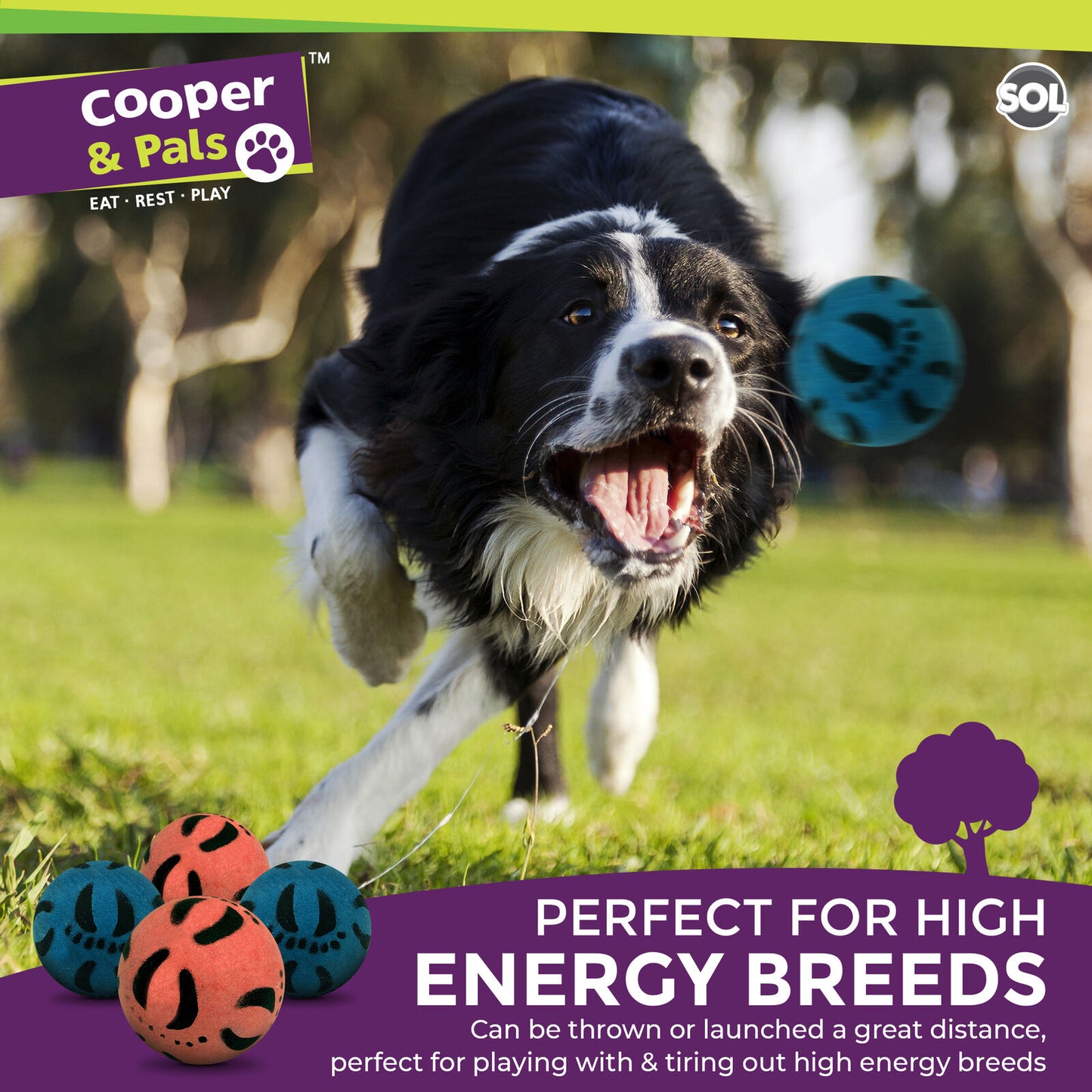 Rubber Dog Balls | Bouncy Solid Hard Fetch Chew Toys | 4 Pack