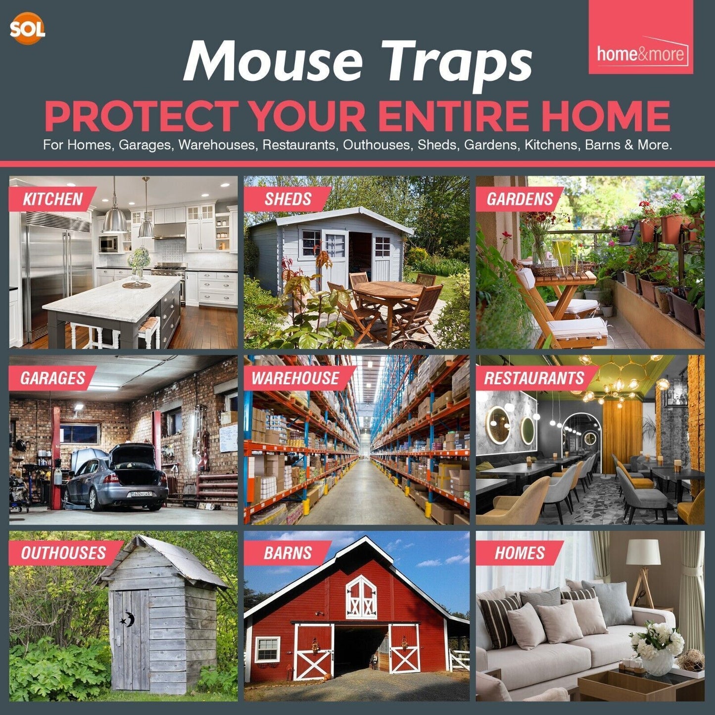 Mouse Traps | Heavy Duty Reusable Rodent Catcher | 12 Pack