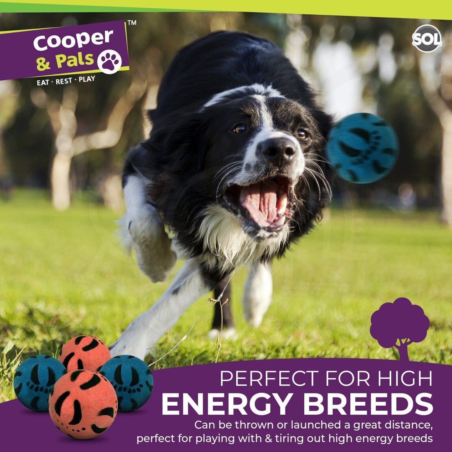 Rubber Dog Balls | Solid Hard Play Fetch Toys | 6 Pack