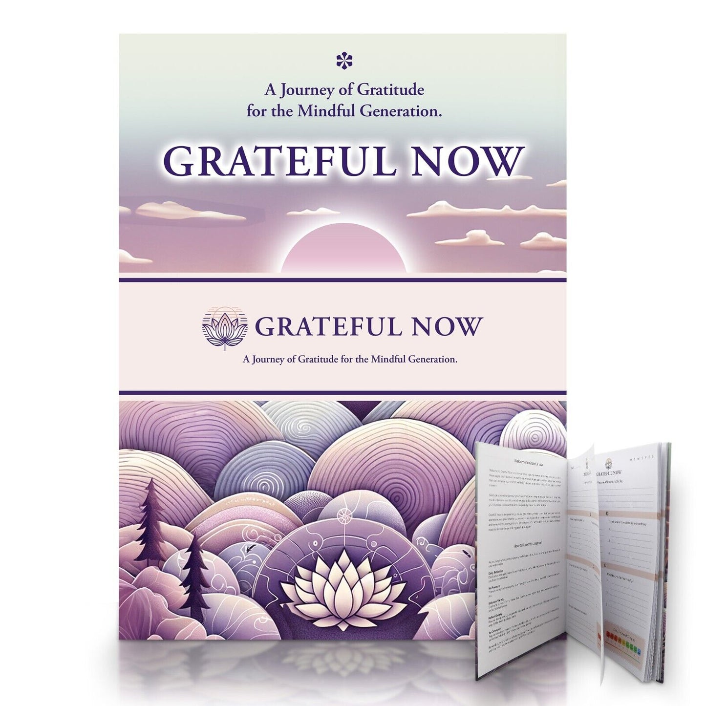 Daily Gratitude Journal A4 60 Day Mindfulness Diary
