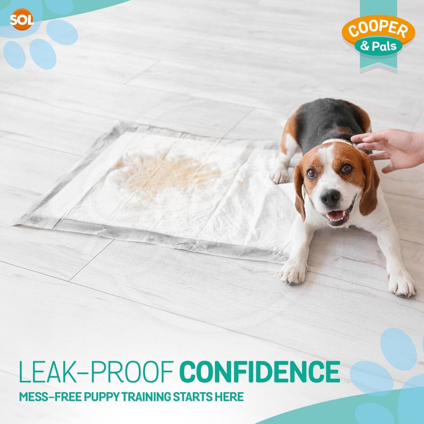 Puppy Training Pads Large 60x45cm Pet Toilet Pee Wee | 100 Pack