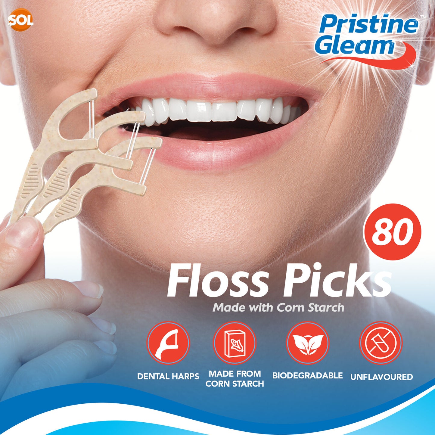 Corn Starch Dental Floss Sticks Interdental Tooth Harp | 80 Pack