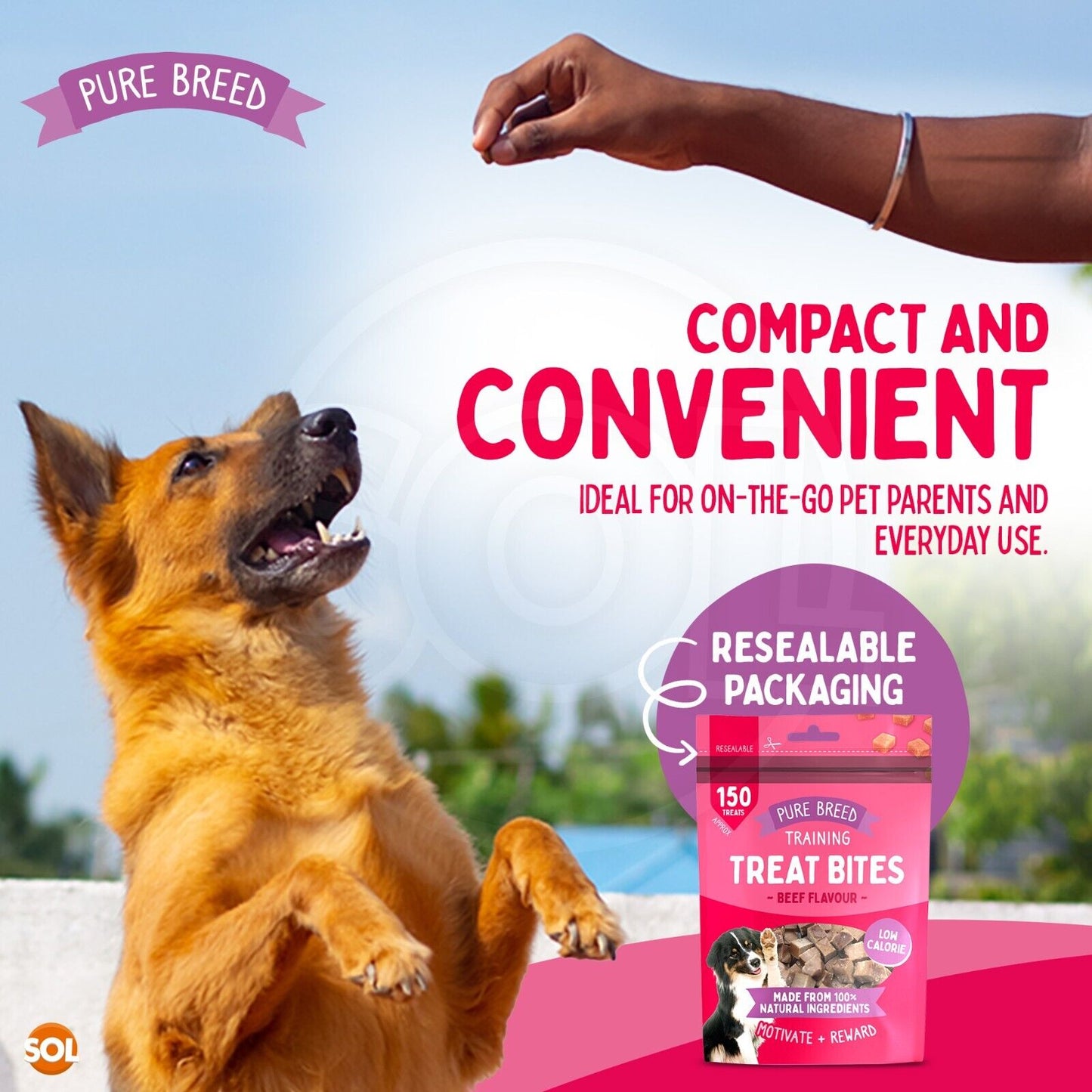 Chicken Bites Dog Training Treats Duck & Beef | 100g