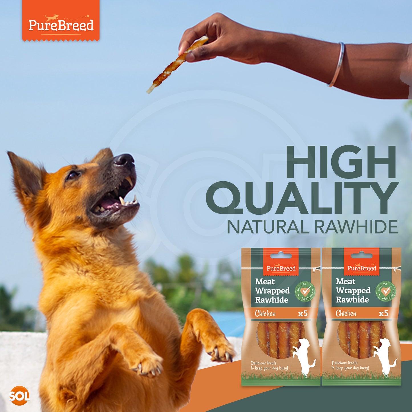 Dog Chews Rawhide Chicken Snack| Healthy Treats | 10 Pack