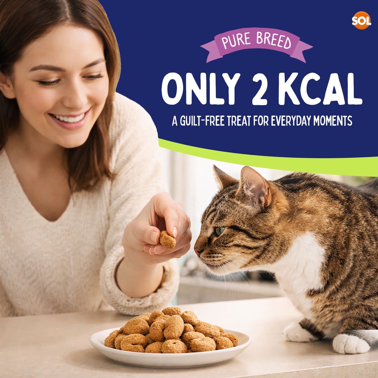6-12pk Cat Pillow Chews Cheese Crunchy Cat Treats 125g Training Bulk Snack