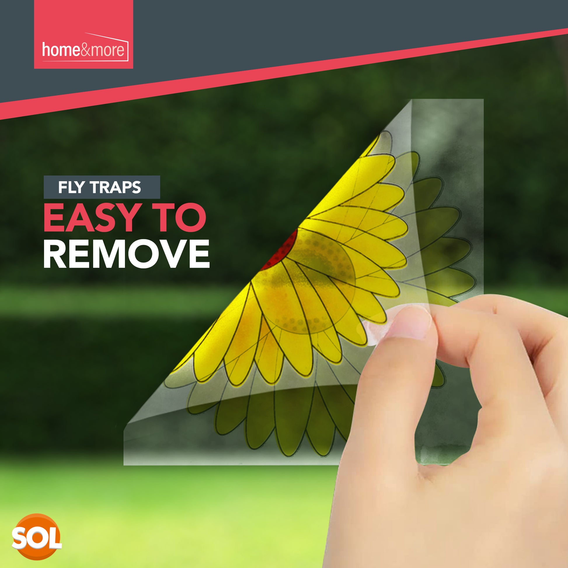 Window Sticker Fly Traps, Sunflower Design for Fruit Flies, Moth, Mosquitoes, Sticky Paper Indoor Catcher for Home Use