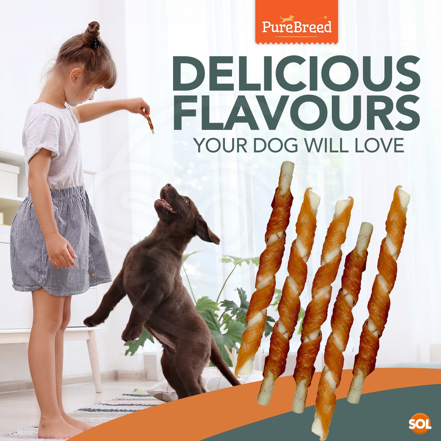 Dog Chews Rawhide Twists Wrapped in Chicken Healthy Treats | 50 Pack