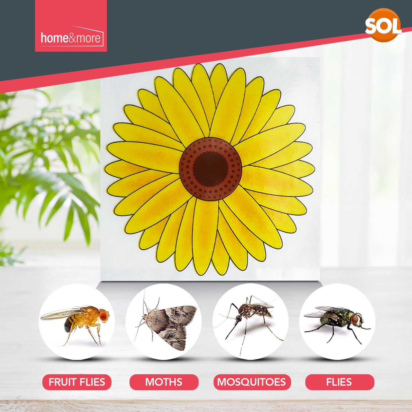 Window Sticker Fly Traps, Sunflower Design for Fruit Flies, Moth, Mosquitoes, Sticky Paper Indoor Catcher for Home Use