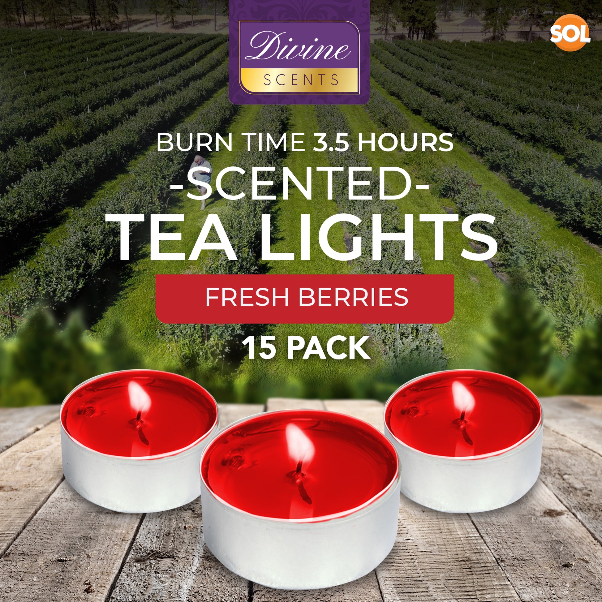 30pk Scented Tea Lights Candles | Various Perfumes 4 Hour Burn Night T Tealights