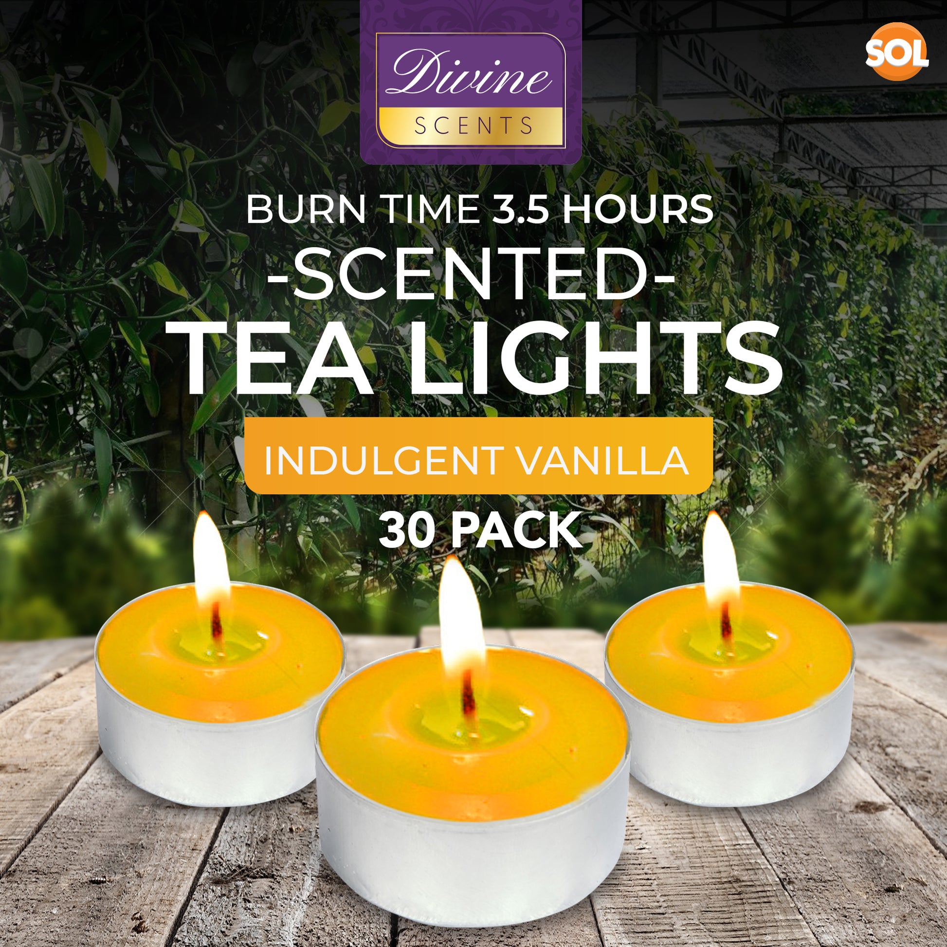 30pk Scented Tea Lights Candles | Various Perfumes 4 Hour Burn Night T Tealights
