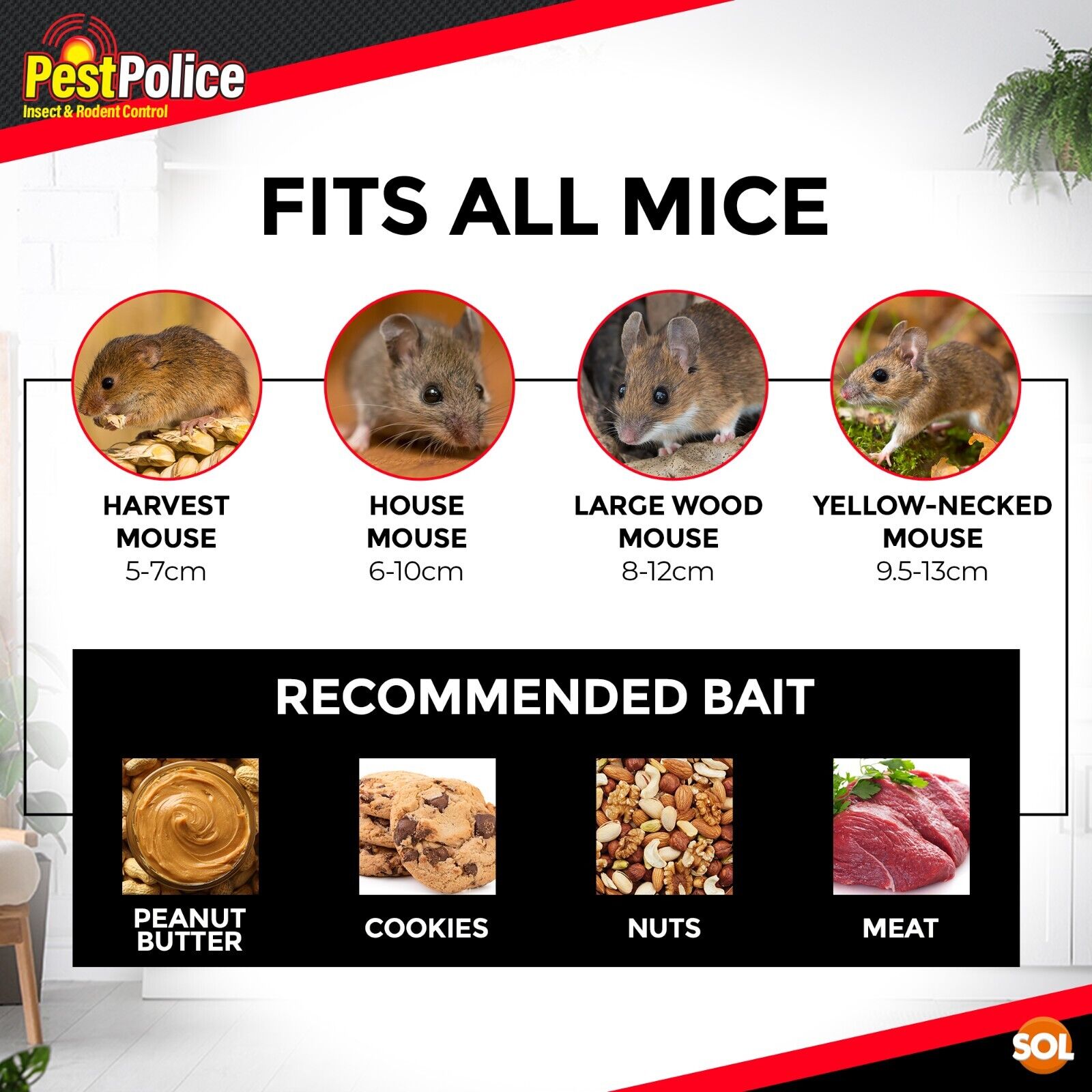 1-4 Humane Mouse Trap No Kill Mice Live Rat Catcher Pest Rodent Vermin Reusable