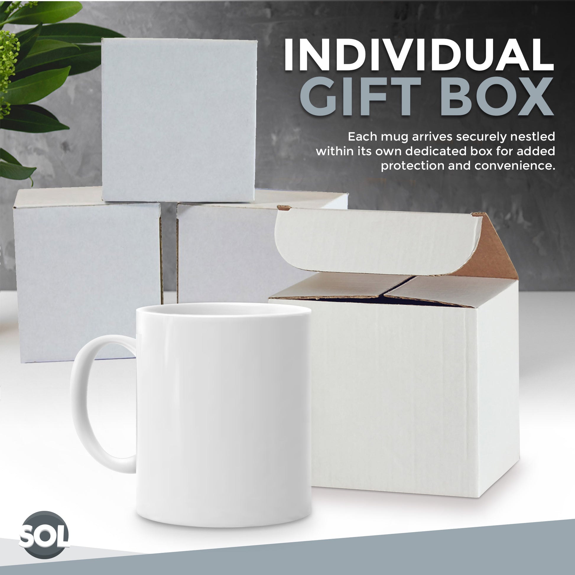 12-48pk Plain WHITE Mugs 11oz Large Coffee Tea Set of Blank Bulk Cups + Boxes