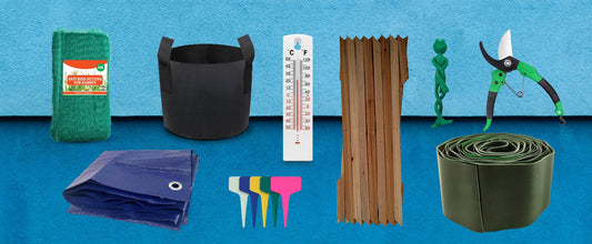 5 Spring Essentials for Your Garden You Didn't Know You Needed