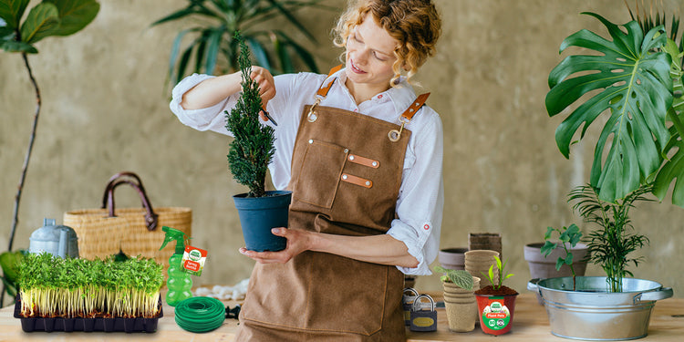 Gardening Essentials