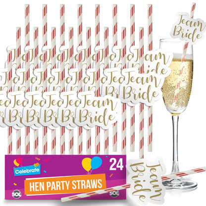 24pk Team Bride Hen Party Straws | Rose Gold Paper Drinking Night Do Accessories