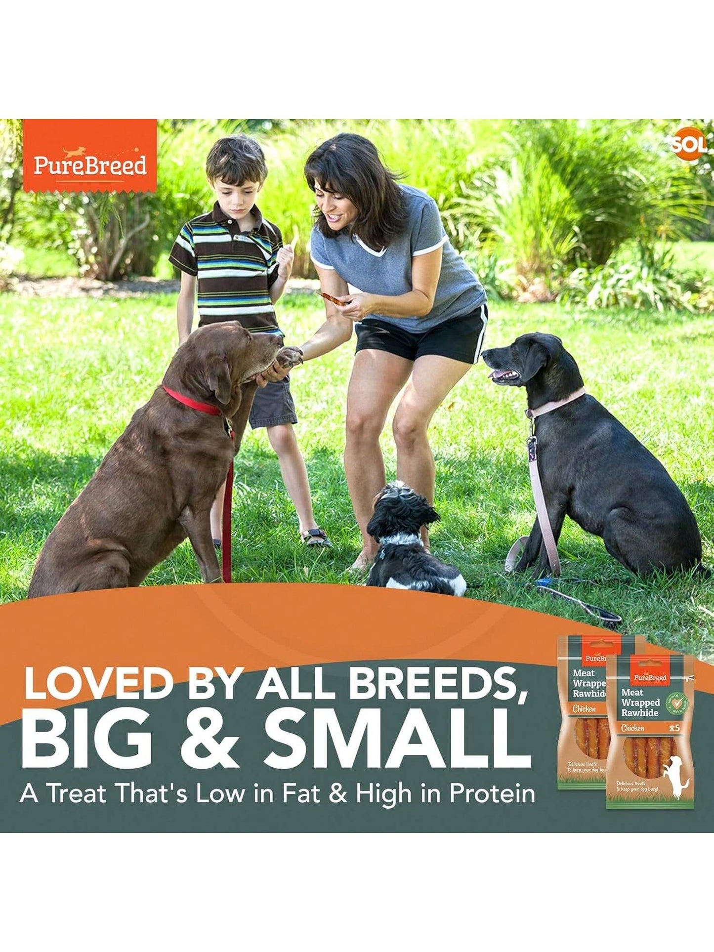 SOL 10pk Meat Wrapped Delicious Dog Treats, Twist Rawhide Sticks In Savoury Chicken Flavour, Puppy Chews For Reward & Training, Low Fat, High Protein Dog Chew Sticks Convenient For Travel & Walks