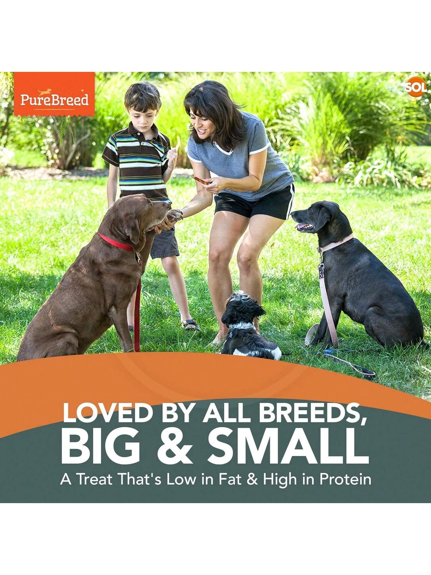 SOL 50pk Meaty Twist Wrap Delicious Dog Treats, Twist Rawhide Sticks In Savoury Chicken Flavour, Puppy Chews For Reward & Training, Low Fat, High Protein Dog Chew Sticks Convenient For Travel & Walks