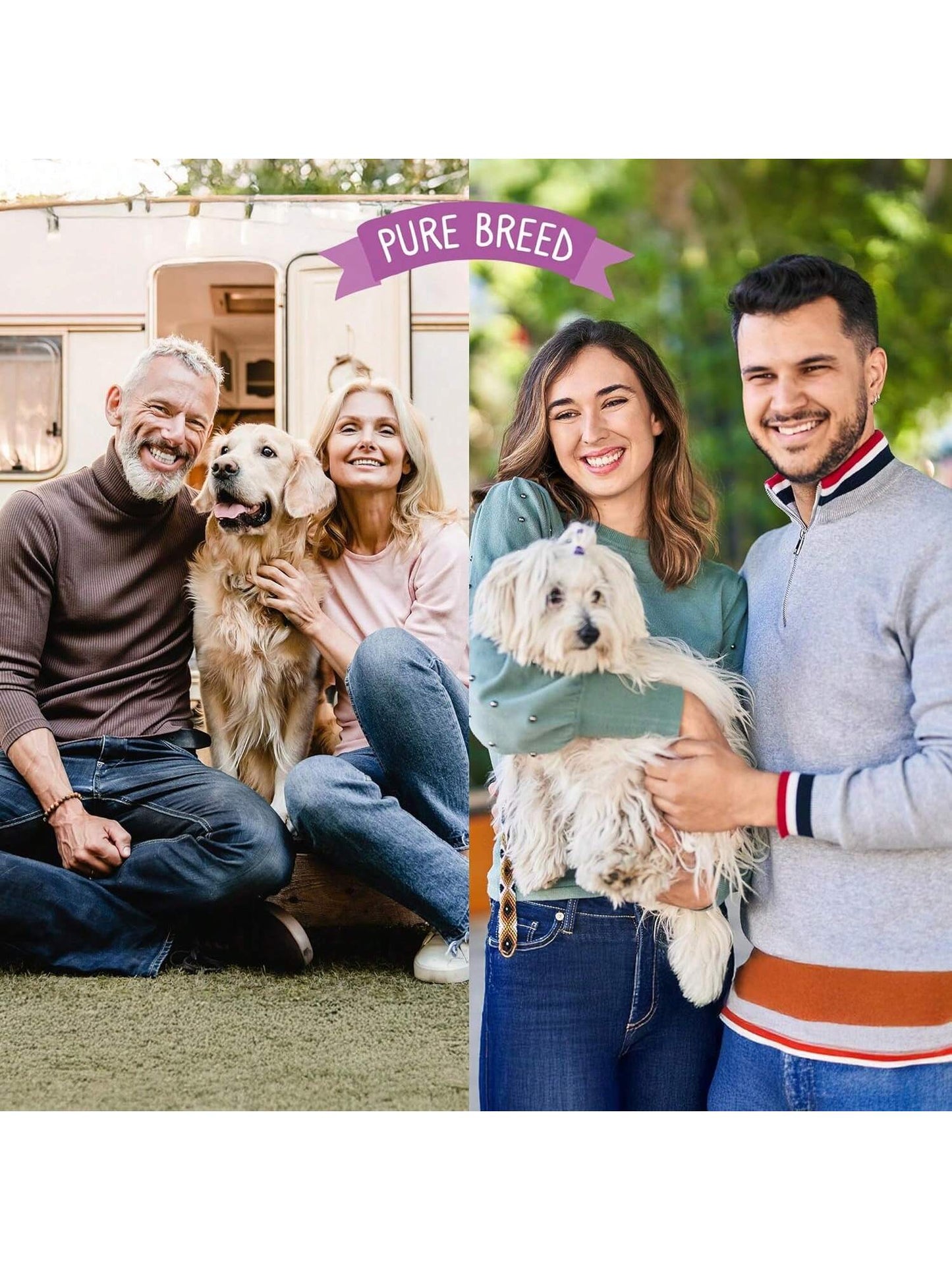 SOL 50pk Meaty Twist Wrap Delicious Dog Treats, Twist Rawhide Sticks In Savoury Chicken Flavour, Puppy Chews For Reward & Training, Low Fat, High Protein Dog Chew Sticks Convenient For Travel & Walks