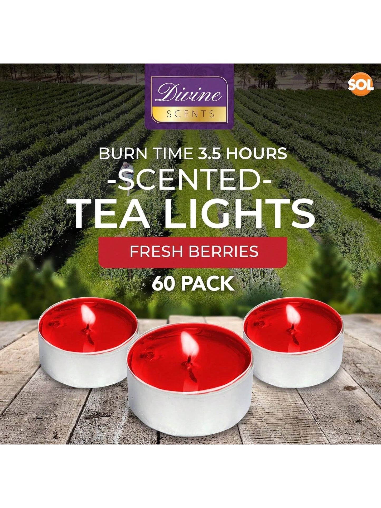 SOL 60pk Tea Light Candles Fresh Berries – 3.5 Hour Burn Time, Scented Tea Lights, Long-Lasting And Ideal For Home, Relaxation, Romantic Dinners, Weddings, Festive Decor, Cosy Evenings