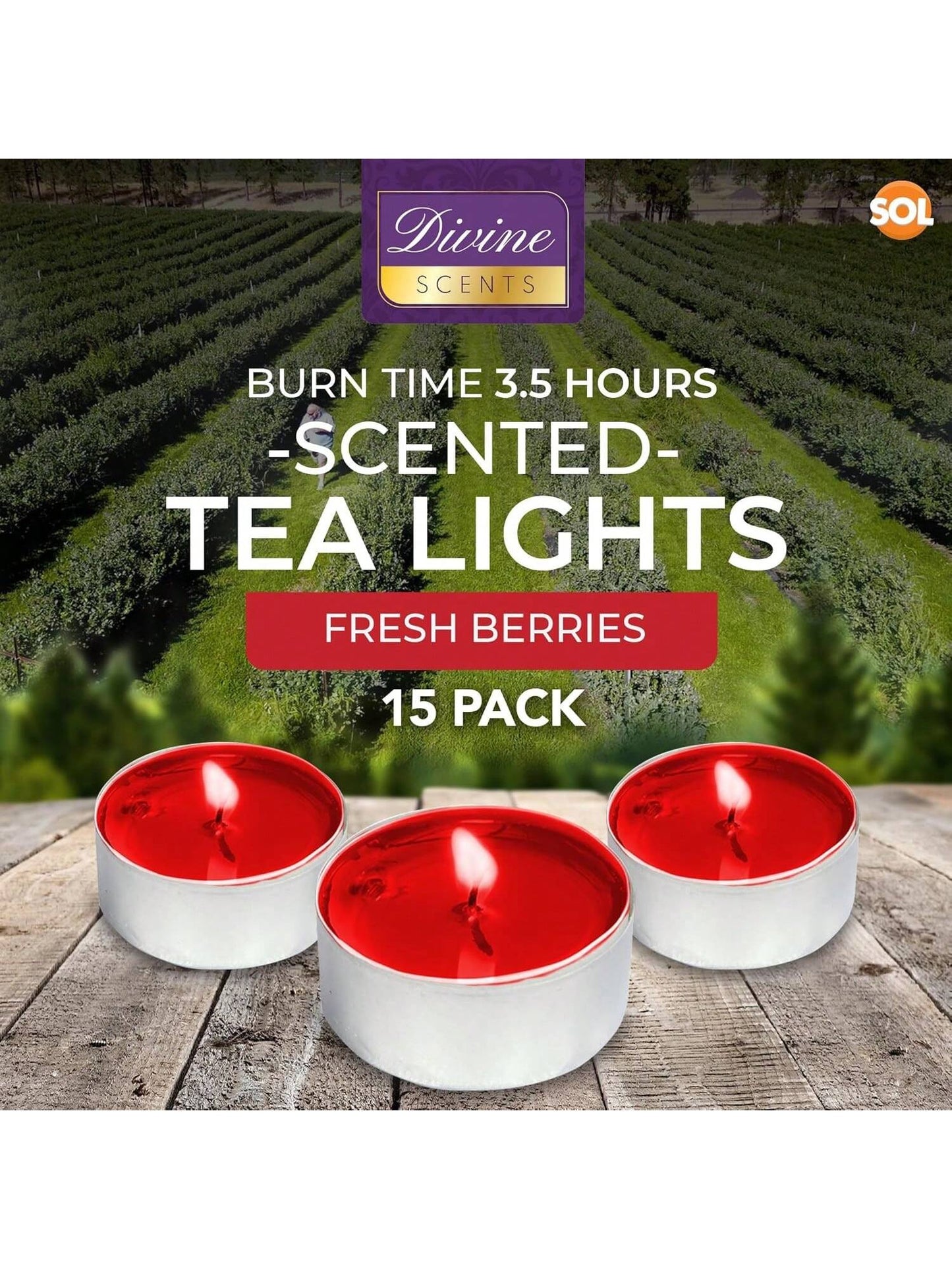 SOL 15pk Tea Light Candles Fresh Berries – 3.5 Hour Burn Time, Scented Tea Lights, Long-Lasting And Ideal For Home, Relaxation, Romantic Dinners, Weddings, Festive Decor, Cosy Evenings