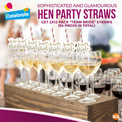 24pk Team Bride Hen Party Straws | Rose Gold Paper Drinking Night Do Accessories