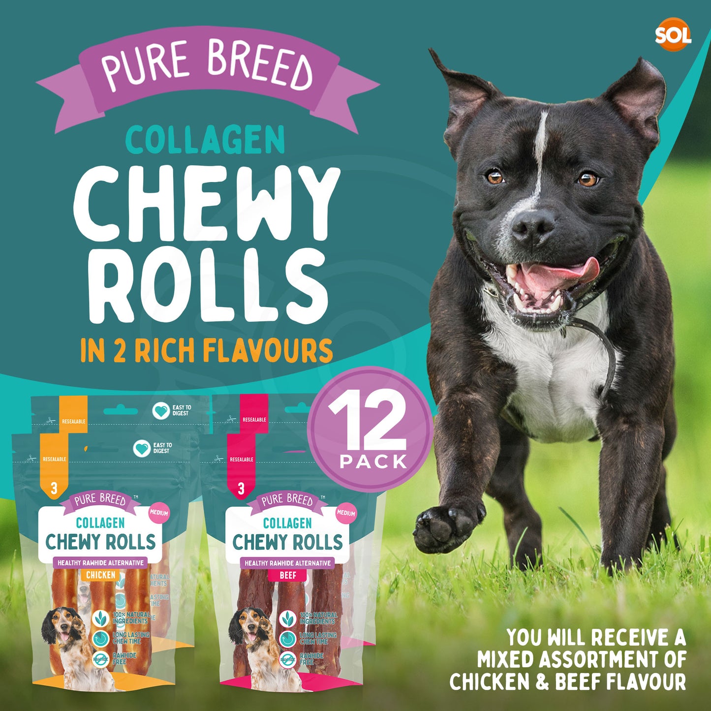 SOL 12pk Medium Collagen Chewy Rolls - Beef and Chicken Dog Chews