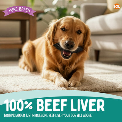 Pure Breed 10pk Beef Liver Treats For Dogs - Natural Dog Treats 500g